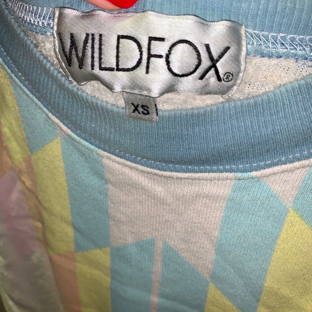 Wildfox sweatshirt